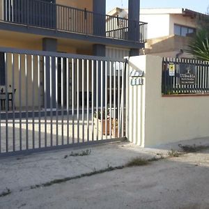 L'Ulivo di Lu